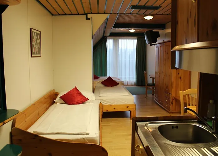 Hotel Asperner Loewe 3*